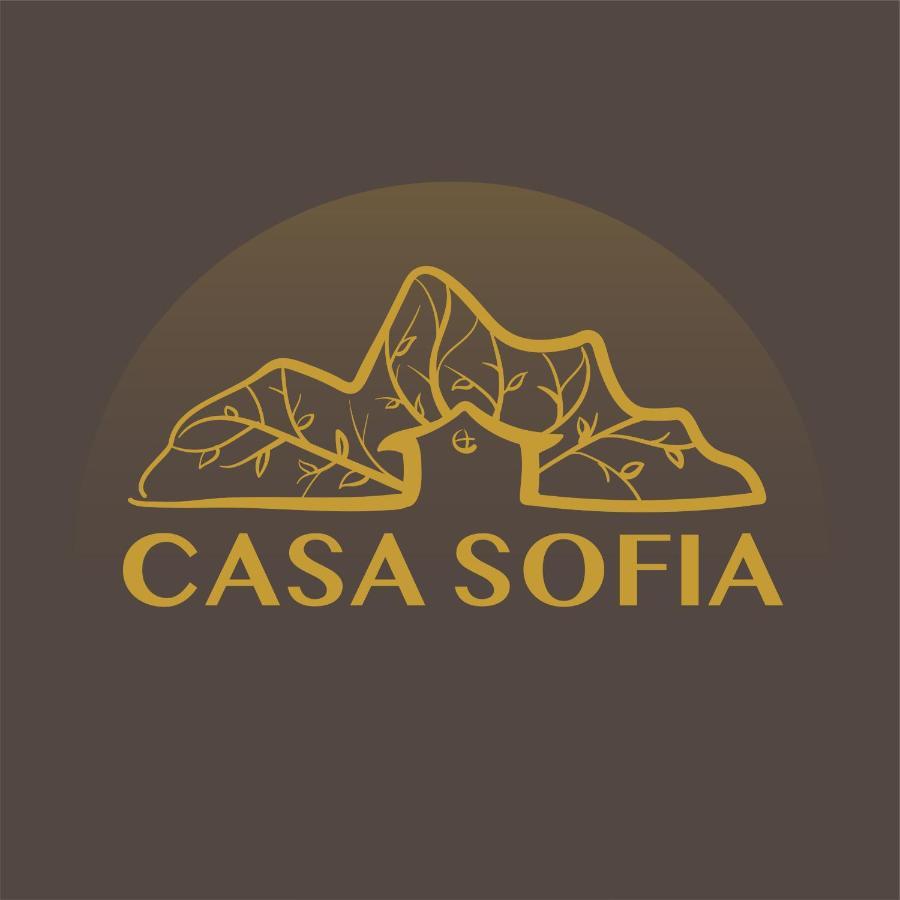 Vila Sofia Haţeg Exterior foto
