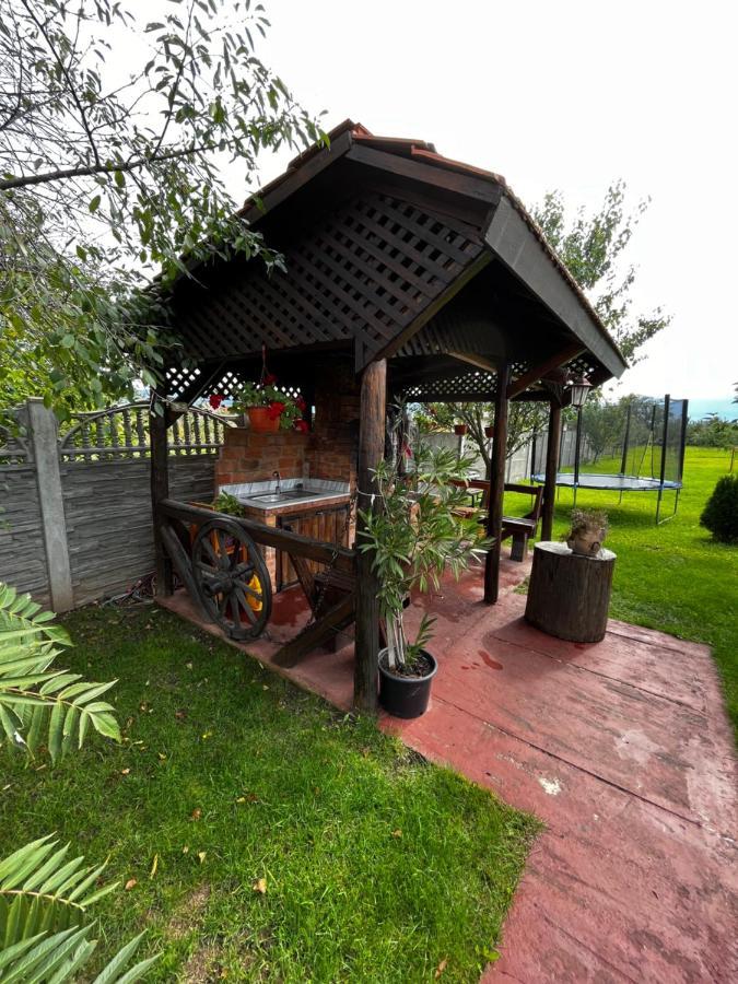 Vila Sofia Haţeg Exterior foto