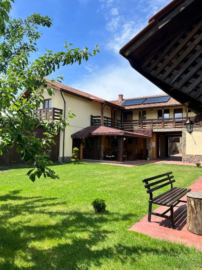 Vila Sofia Haţeg Exterior foto