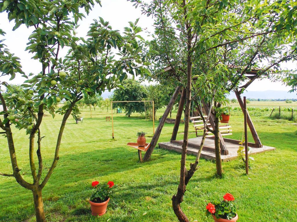 Vila Sofia Haţeg Exterior foto
